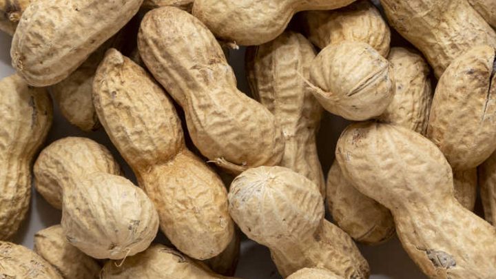 Allergia alle arachidi nei bambini, un cerotto per combatterla