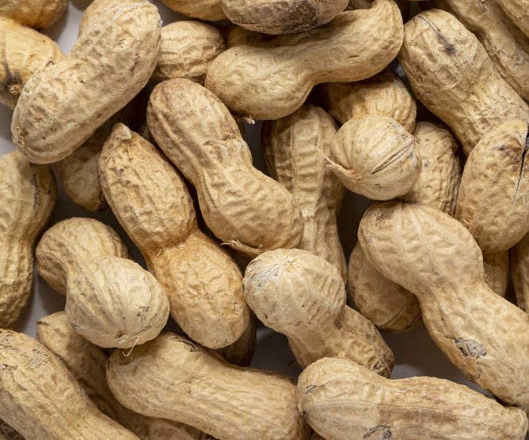 Allergia alle arachidi nei bambini, un cerotto per combatterla