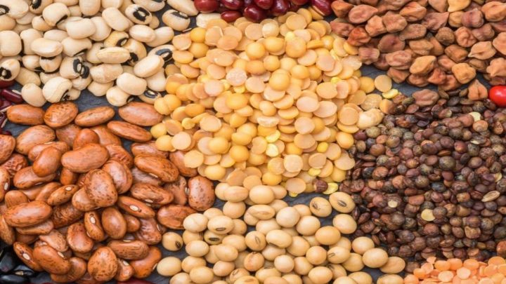 Mangiar bene per prevenire i tumori, l’Azienda campana “Selex” in prima linea