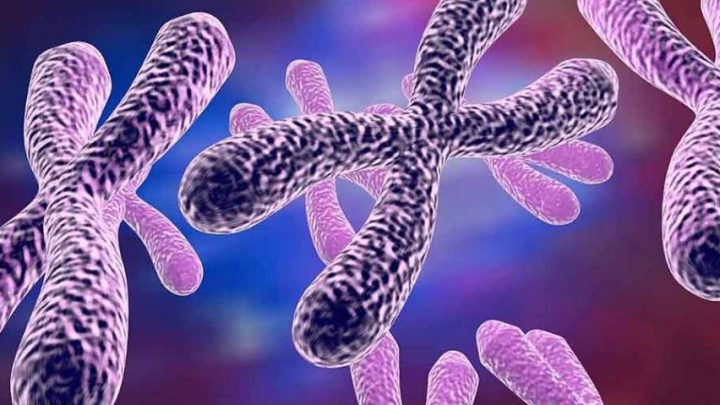 Numero anomalo di cromosomi, la nuova arma per sconfiggere il cancro