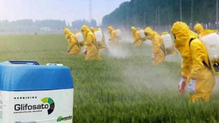 Efsa su Glifosato: non desta particolari preoccupazioni