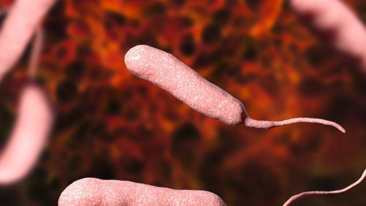 Colera, l’Oms avverte: rischio globale molto alto