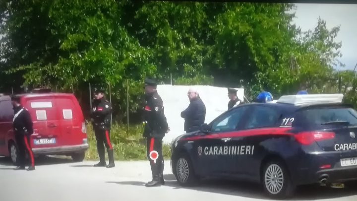 Eboli, muore a 15 mesi sbranato dai pitbull