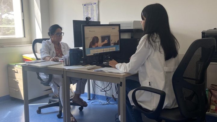 Ragno violino, al Centro Antiveleni del Cardarelli anche 20 chiamate al giorno