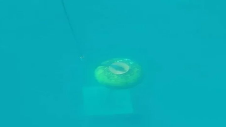 Un massacro dei fondali realizzato dall’Area Marina Punta Campanella in nome del dio denaro