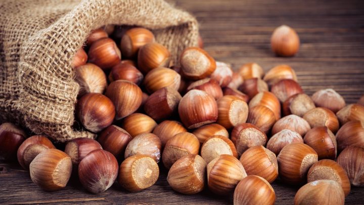 Nocciole, uno studio rivela le proprietà benefiche antitumorali