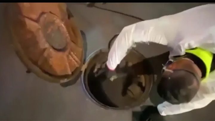 USA, virus aviaria in un lotto di latte non pastorizzato