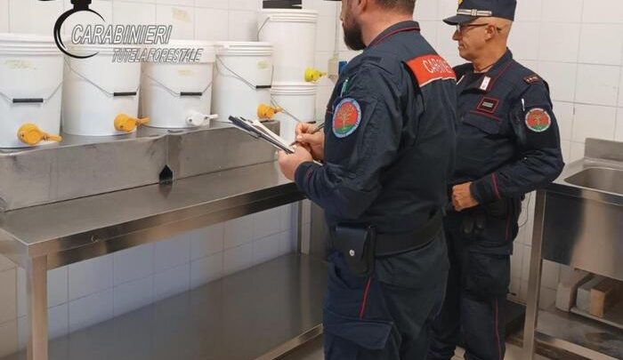 Sicurezza alimenti, Carabinieri forestali in campo per controlli mirati