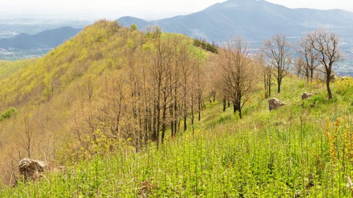 Nel Casertano sisma di 3.6 a Roccamonfina
