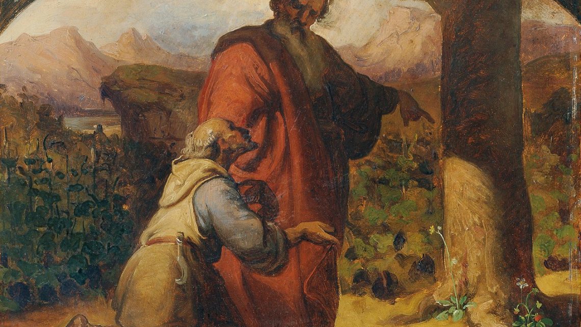 Vangelo in Salute, la Parola che cura: il fico infruttifero