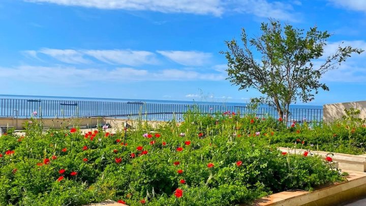 Salerno, dopo 400 anni lo storico Giardino della Minerva ritrova la sua integrità