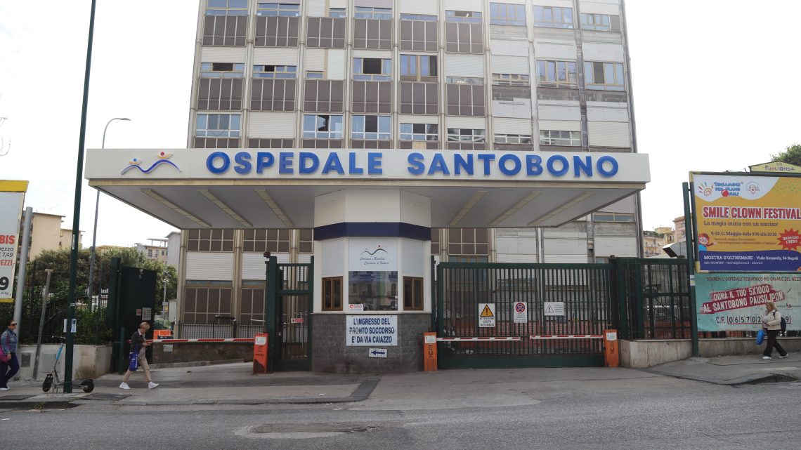 Sospetto morso di vipera nel Cilento: 11enne trasferito al Santobono