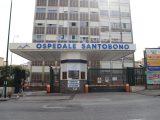 Sospetto morso di vipera nel Cilento: 11enne trasferito al Santobono