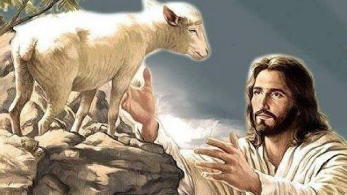 Vangelo in Salute, la Parola che cura: la pecorella smarrita