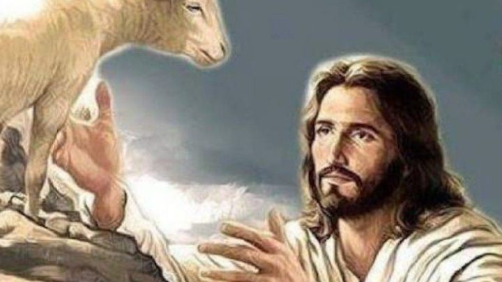 Vangelo in Salute, la Parola che cura: la pecorella smarrita