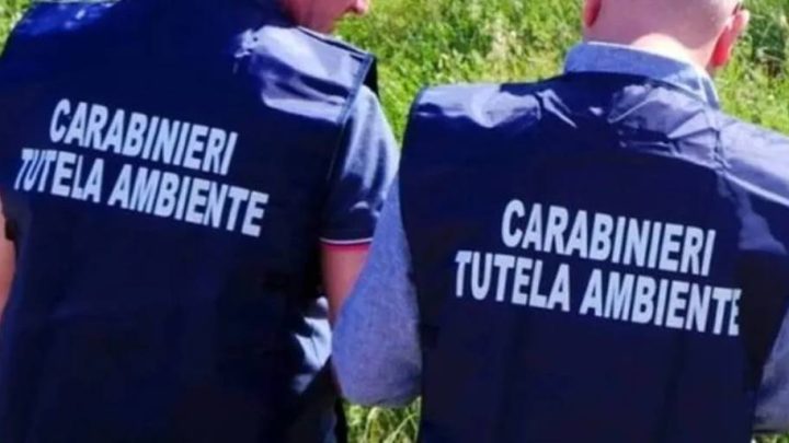 Irpinia, dai Carabinieri a scuola di legalità