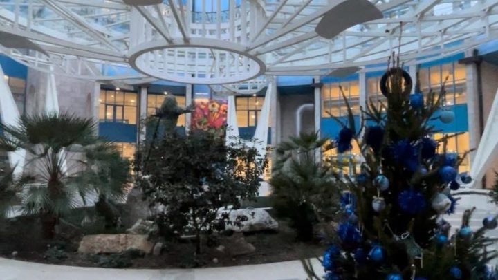 Avellino, tornano gli alberi della prevenzione alla Città ospedaliera