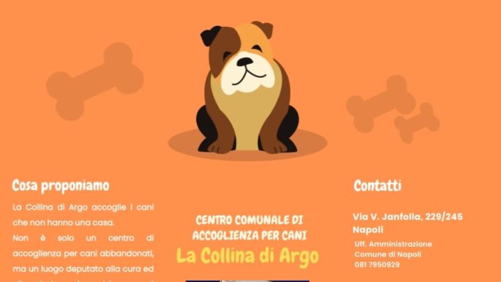 Asl Na 1, nove giorni dedicati ad un’adozione consapevole degli amici a 4 zampe
