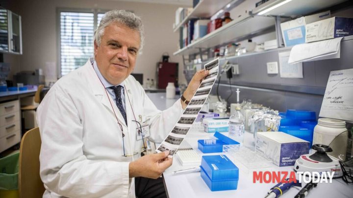Leucemia linfoblastica acuta, l’immunoterapia dimezza le recidive e riduce effetti collaterali gravi
