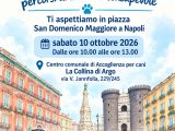 Napoli, in piazza San Domenico Maggiore l’iniziativa per l’adozione consapevole dei cani