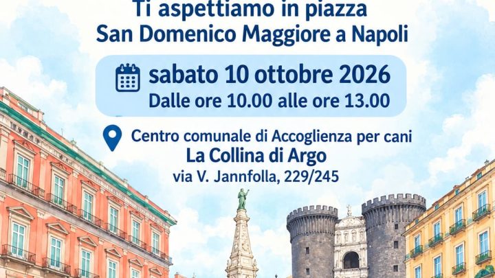 Napoli, in piazza San Domenico Maggiore l’iniziativa per l’adozione consapevole dei cani (Manifestazione Rinviata)